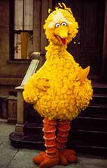 Big Bird - Jim Henson's Sesame Street