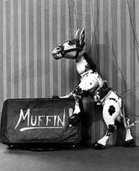 Muffin the Mule